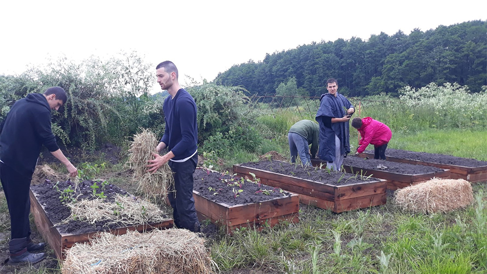 Pădurea și grădina ecologică