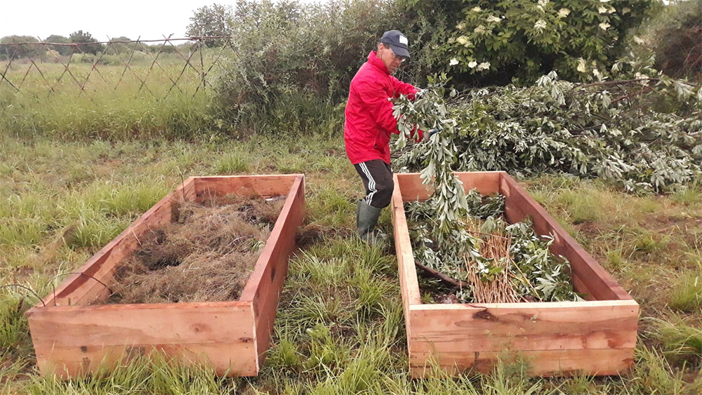 Pădurea și grădina ecologică